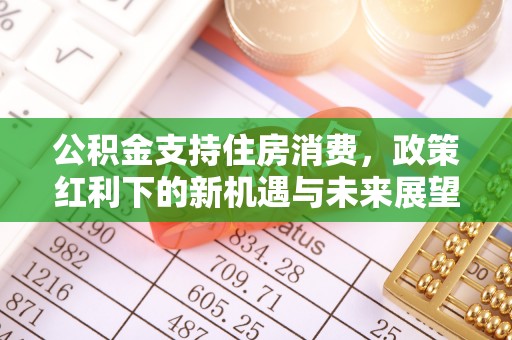 仲巴公积金支持住房消费，政策红利下的新机遇与未来展望