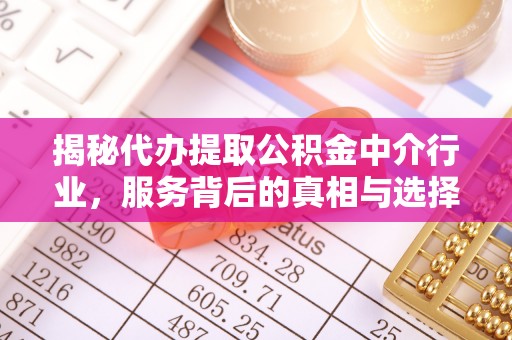 仲巴揭秘代办提取公积金中介行业，服务背后的真相与选择指南