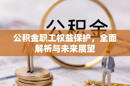 仲巴公积金职工权益保护，全面解析与未来展望
