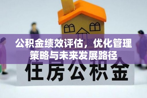 仲巴公积金绩效评估，优化管理策略与未来发展路径