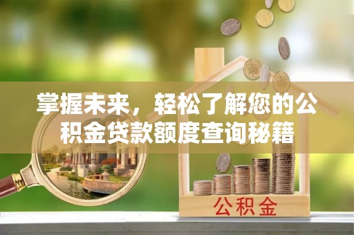 仲巴掌握未来，轻松了解您的公积金贷款额度查询秘籍