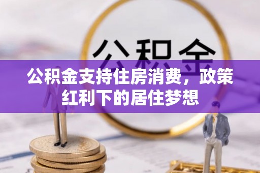 仲巴公积金支持住房消费，政策红利下的居住梦想