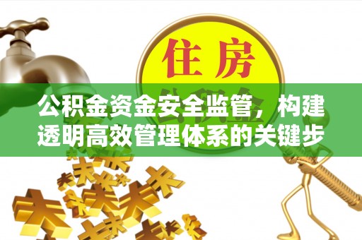 仲巴公积金资金安全监管，构建透明高效管理体系的关键步骤