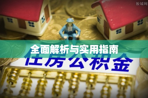 仲巴全面解析与实用指南